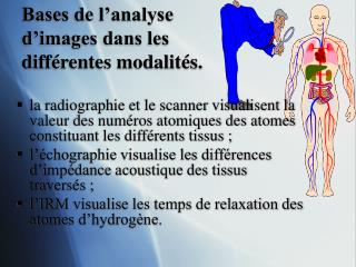 Bases de l’analyse d’images dans les différentes modalités.