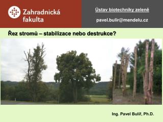 Ústav biotechniky zeleně pavel.bulir@mendelu.cz
