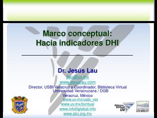 Marco conceptual: Hacia indicadores DHI