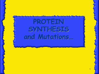 PROTEIN SYNTHESIS and Mutations…