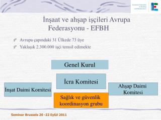 İnşaat v e ahşap işçileri Avrupa Federasyonu - EFBH