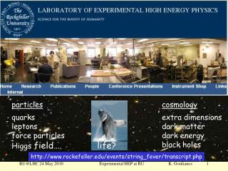 Experimental High Enery Physics at Rockefeller