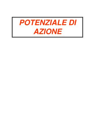 POTENZIALE DI AZIONE