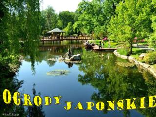 JapoNskie