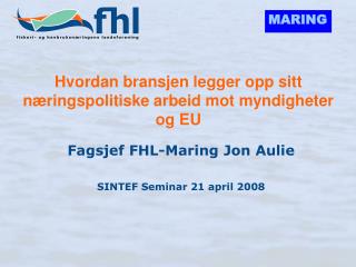 Hvordan bransjen legger opp sitt næringspolitiske arbeid mot myndigheter og EU