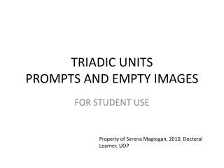 TRIADIC UNITS PROMPTS AND EMPTY IMAGES