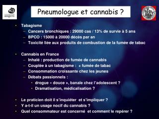 Pneumologue et cannabis ?