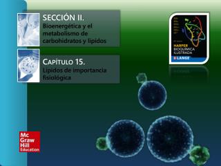 Sección II. Bioenergética y el metabolismo de carbohidratos y lípidos