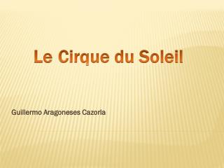 Le Cirque du Soleil