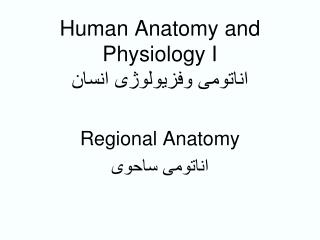 Human Anatomy and Physiology I اناتومی وفزیولوژی انسان