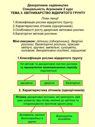 Декоративне сад івництво Спеціальність Агрономія 2 курс ТЕМА 3. КВІТНИКАРСТВО ВІДКРИТОГО ГРУНТУ