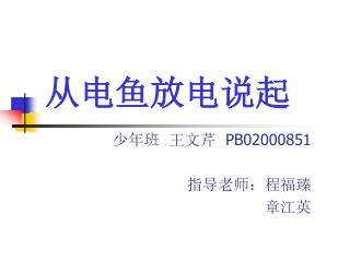 从电鱼放电说起