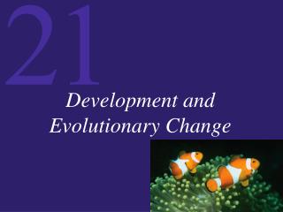 Development and Evolutionary Change