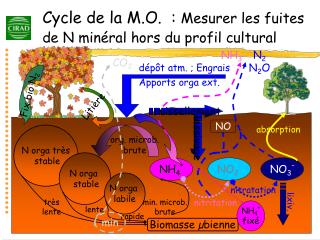 Cycle de la M.O. : Mesurer les fuites de N minéral hors du profil cultural