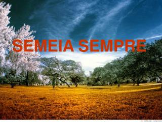 SEMEIA SEMPRE