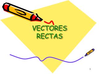 VECTORES RECTAS