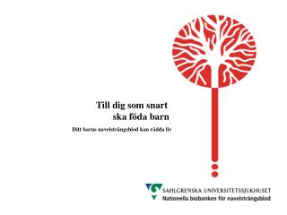 Styrgrupp Projektgrupp