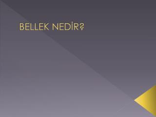 BELLEK NEDİR?
