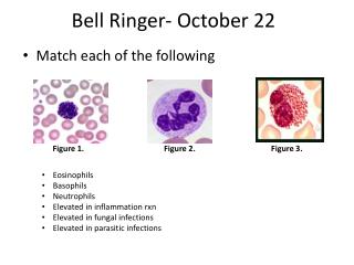 Bell Ringer- October 22