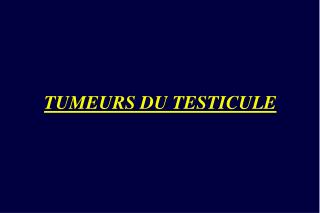 TUMEURS DU TESTICULE