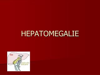 HEPATOMEGALIE