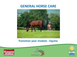 GENERAL HORSE CARE