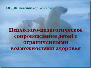 Психолого-педагогическое сопровождение детей с ограниченными возможностями здоровья