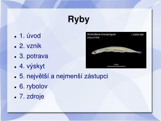 Ryby