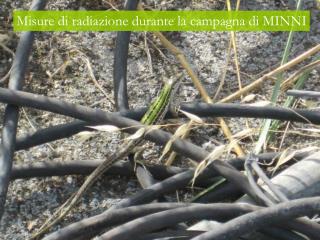 Misure di radiazione durante la campagna di MINNI
