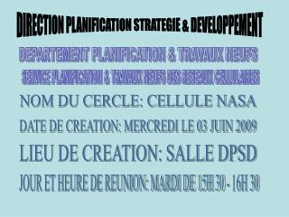 DIRECTION PLANIFICATION STRATEGIE &amp; DEVELOPPEMENT