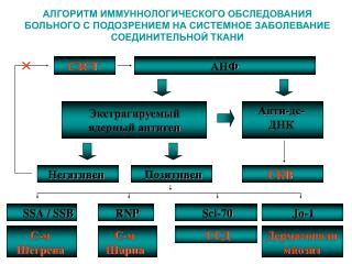 СЗСТ