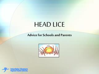 HEAD LICE