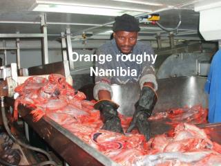 Orange roughy Namibia
