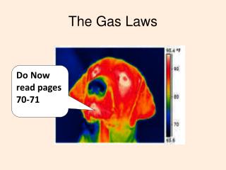 The Gas Laws