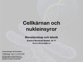 Cellkärnan och nukleinsyror