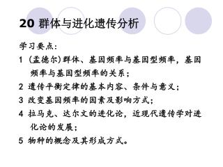 20 群体与进化遗传分析
