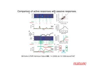 GB K eller &amp; RHR Hahnloser Nature 000 , 1-4 (2008) doi:10.1038/nature07467