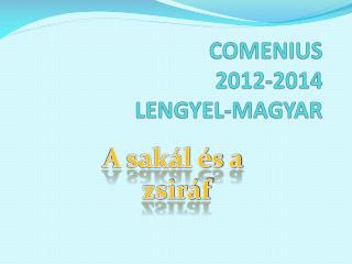 COMENIUS 2012-2014 LENGYEL-MAGYAR