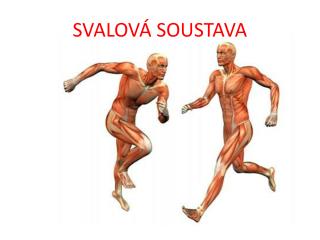 SVALOVÁ SOUSTAVA