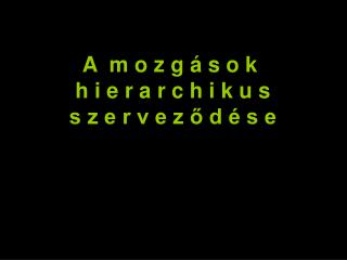 A m o z g á s o k h i e r a r c h i k u s s z e r v e z ő d é s e