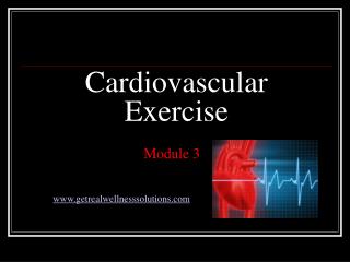 Cardiovascular Exercise