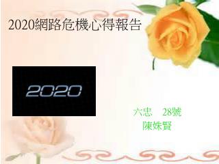 2020 網路危機心得報告