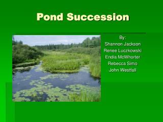 Pond Succession