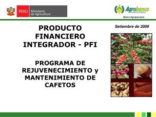 PROGRAMA DE REJUVENECIMIENTO y MANTENIMIENTO DE CAFETOS