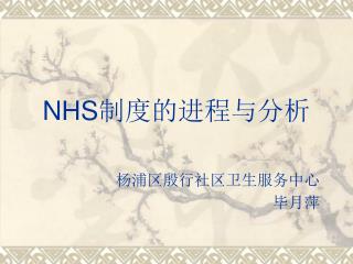 NHS 制度的进程与分析