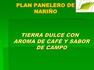 PLAN PANELERO DE NARIÑO
