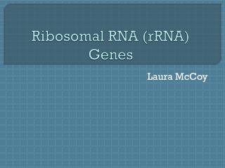 Ribosomal RNA ( rRNA ) Genes