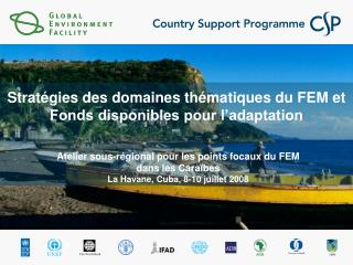 Stratégies des domaines thématiques du FEM et Fonds disponibles pour l’adaptation