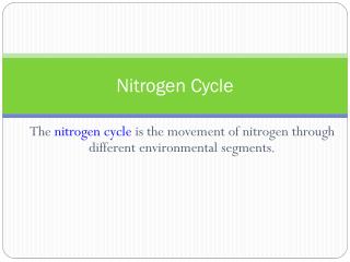 Nitrogen Cycle