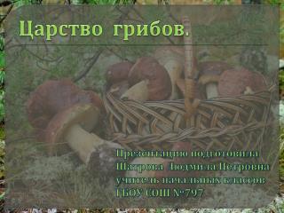Царство грибов.